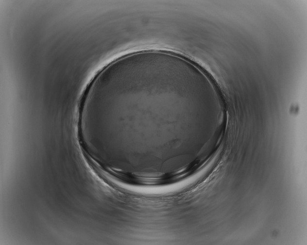 X0000098131508200804171508