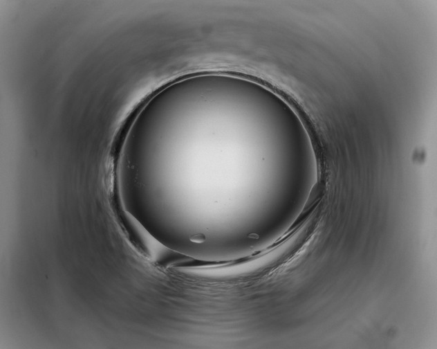 X0000098131509200804171508