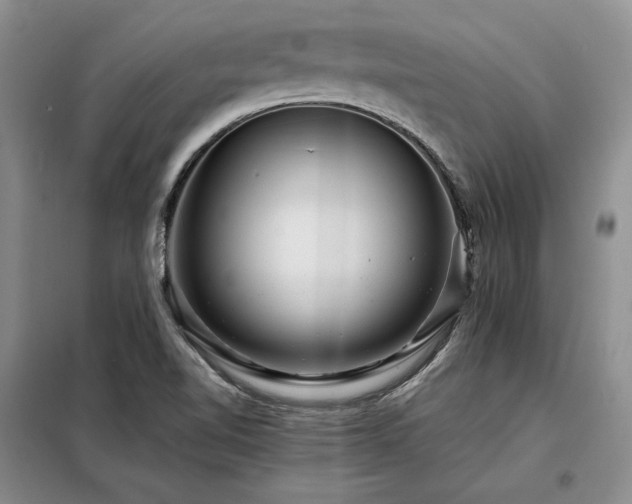 X0000098131510200804171508
