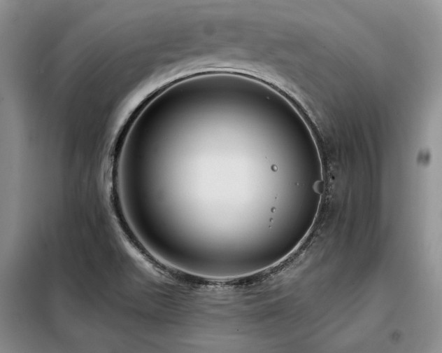 X0000098131511200804171508