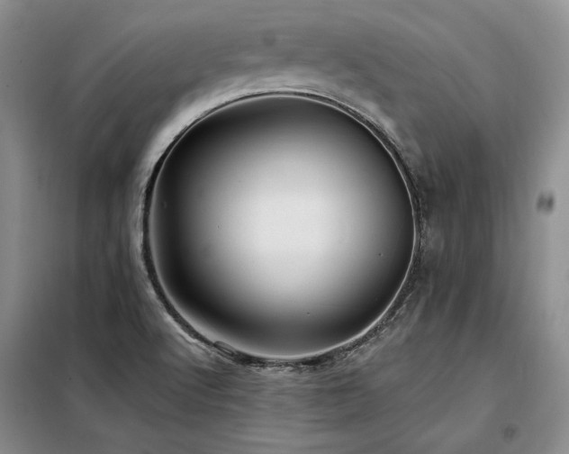 X0000098131512200804171508