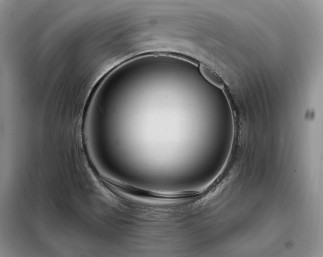 X0000098131513200804171508