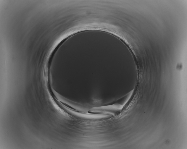 X0000098131515200804171508
