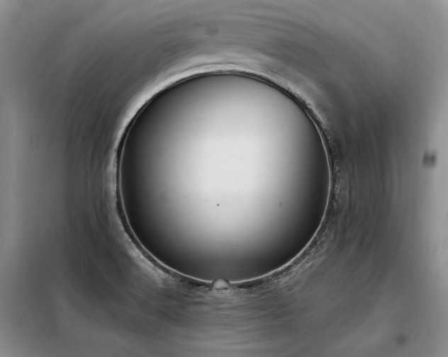 X0000098131516200804171508