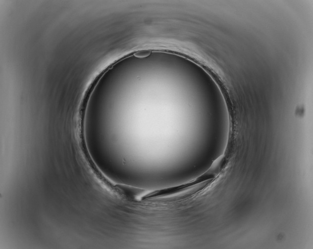 X0000098131517200804171508