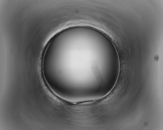X0000098131518200804171508