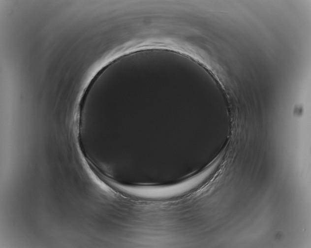 X0000098131519200804171508