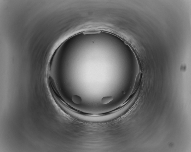 X0000098131520200804171508