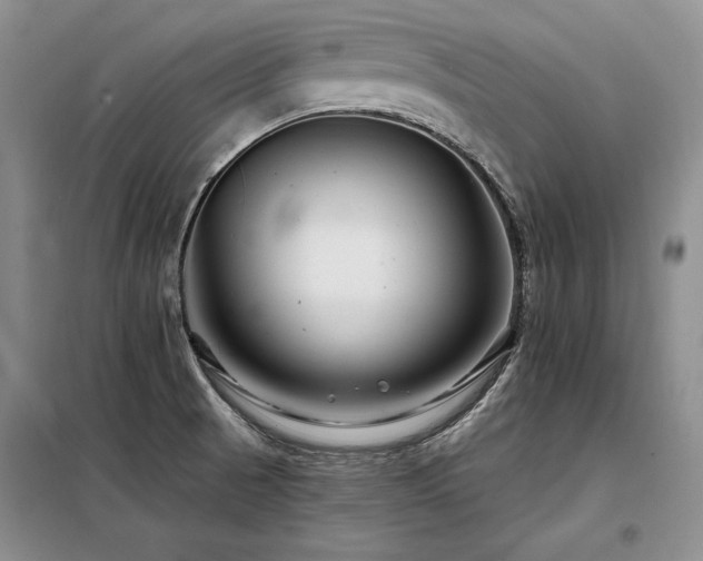 X0000098131521200804171508