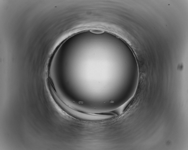 X0000098131523200804171508