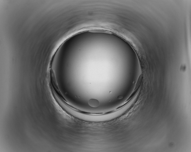 X0000098131524200804171508