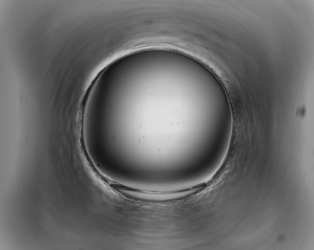 X0000098131526200804171508