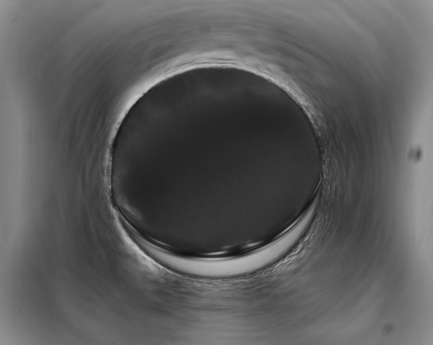 X0000098131527200804171508