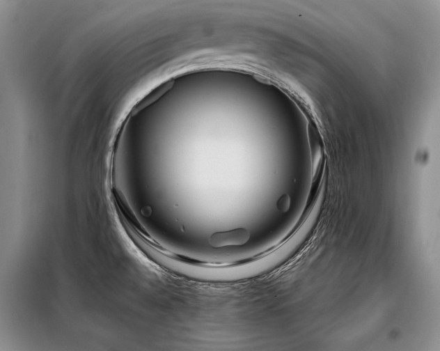 X0000098131528200804171508