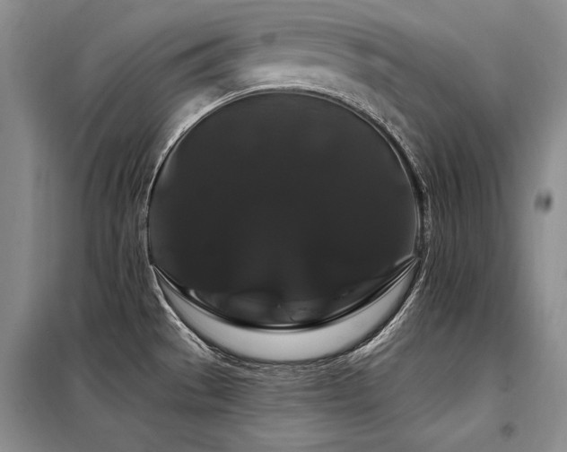 X0000098131529200804171508