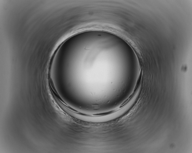 X0000098131530200804171508