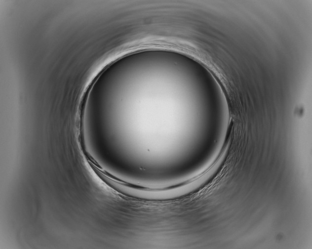 X0000098131531200804171508