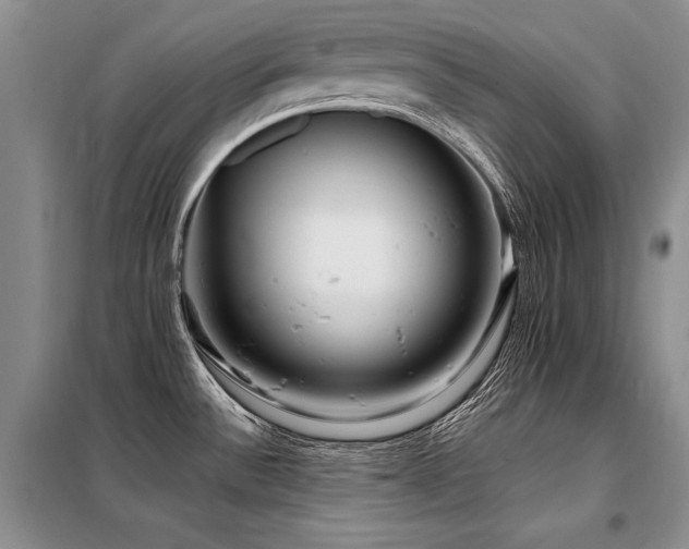 X0000098131532200804171508