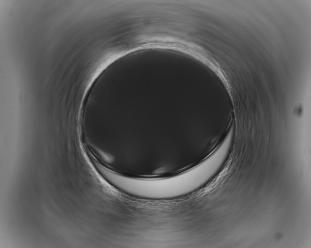 X0000098131533200804171508