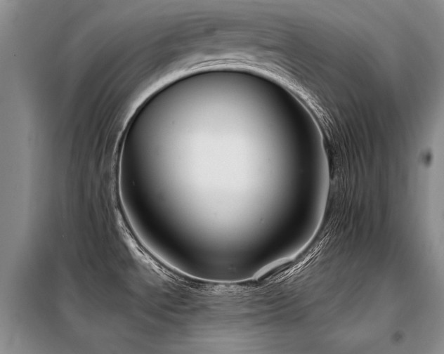 X0000098131534200804171508