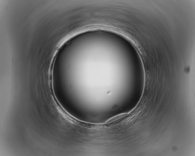 X0000098131535200804171508