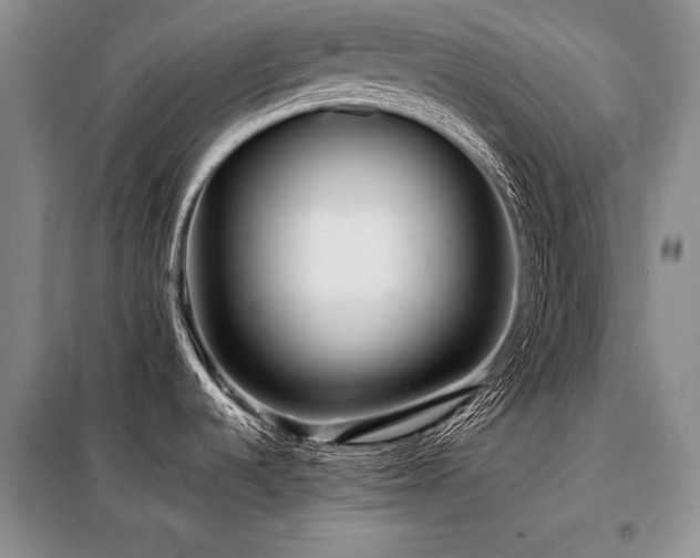 X0000098131536200804171508
