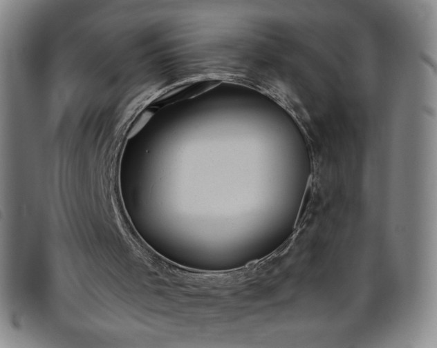 X0000098130001200804241701