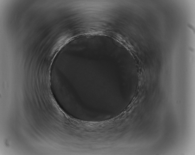X0000098130002200804241701