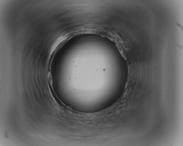 X0000098130003200804241701