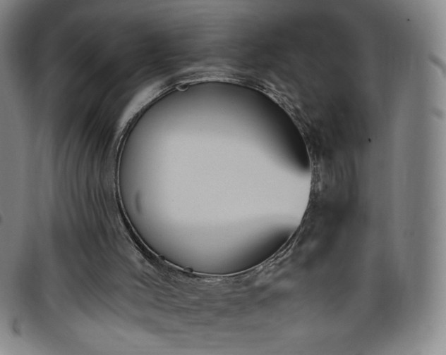 X0000098130004200804241701