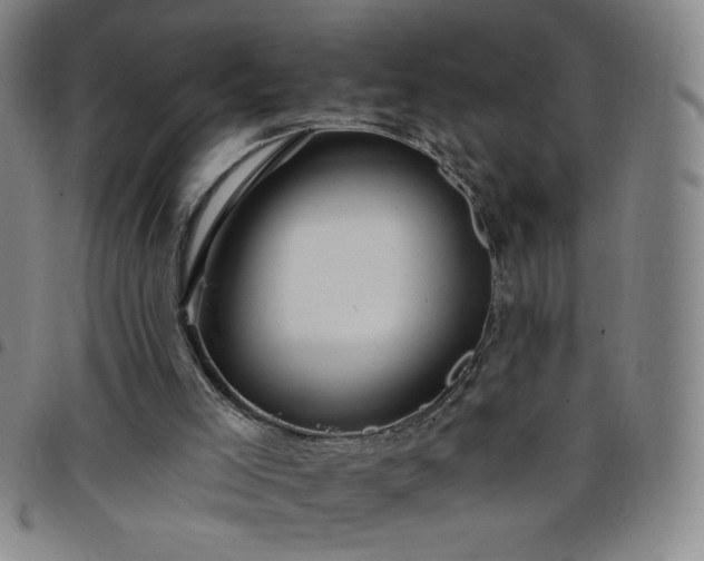 X0000098130005200804241701