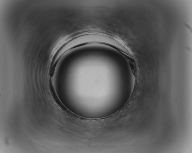 X0000098130007200804241701
