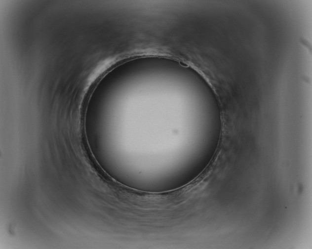 X0000098130008200804241701