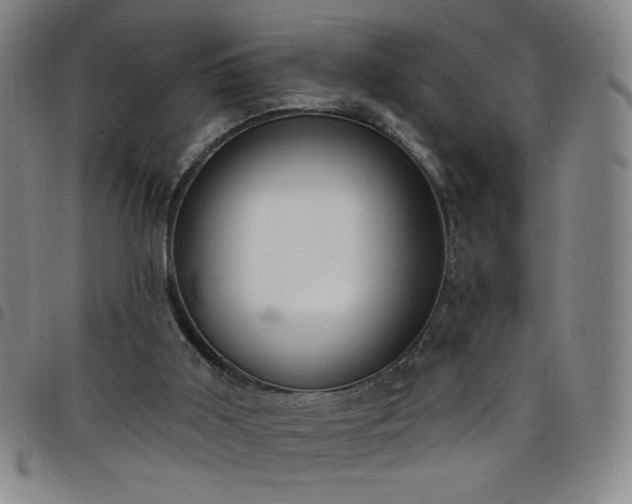 X0000098130011200804241701