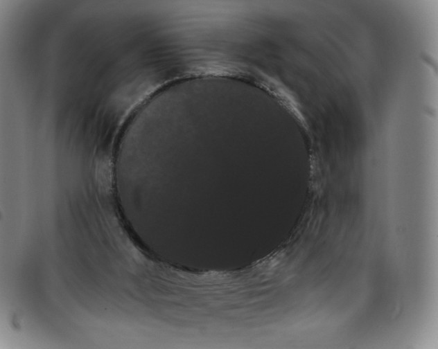 X0000098130012200804241701