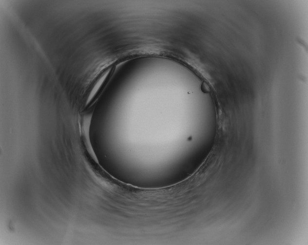 X0000098130013200804241701