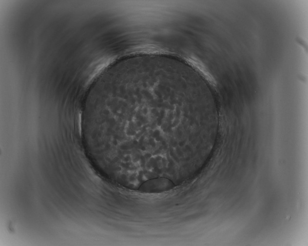 X0000098130014200804241701