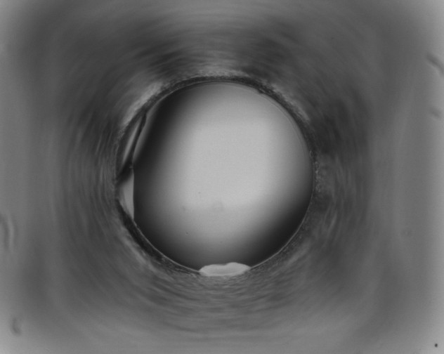 X0000098130015200804241701