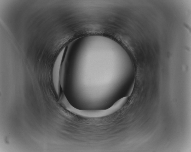 X0000098130017200804241701