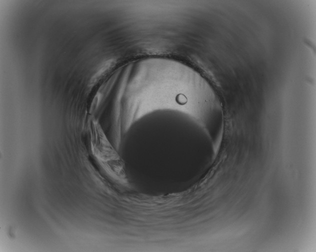 X0000098130019200804241701