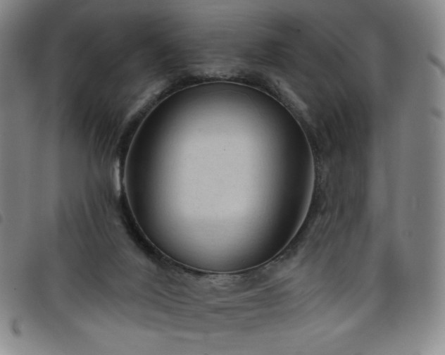X0000098130020200804241701