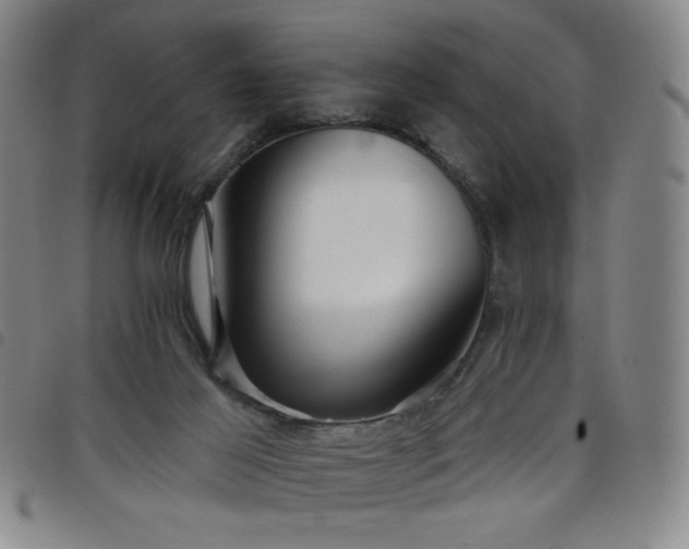 X0000098130021200804241701