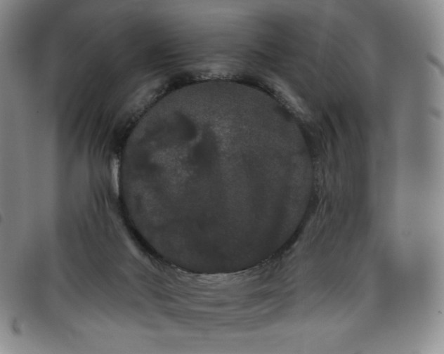X0000098130022200804241701