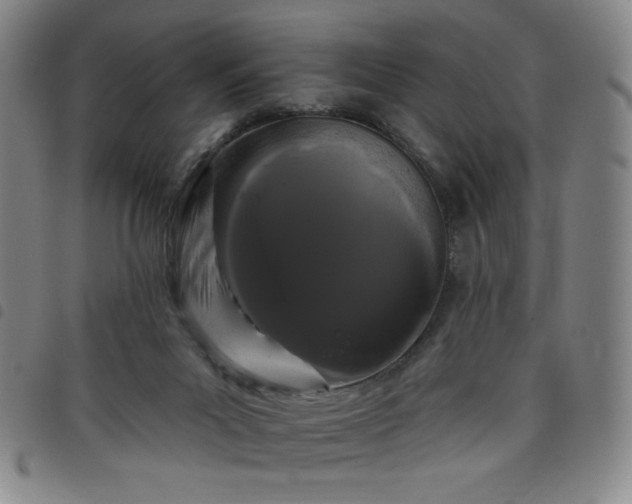 X0000098130023200804241701