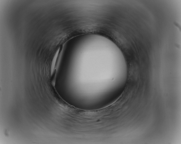 X0000098130025200804241701