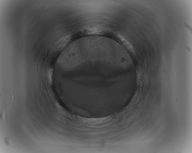 X0000098130026200804241701