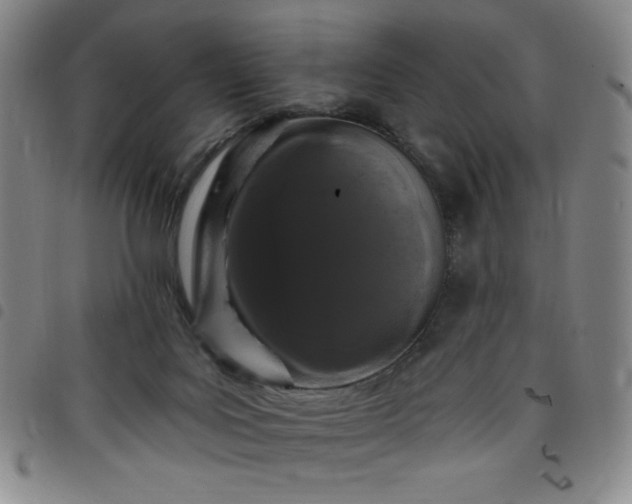 X0000098130027200804241701