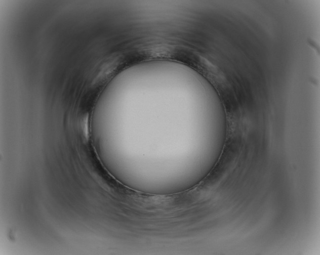 X0000098130028200804241701