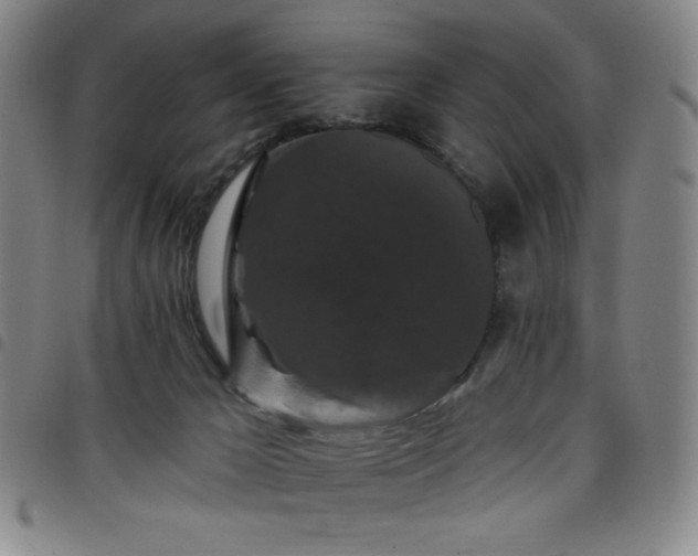 X0000098130029200804241701