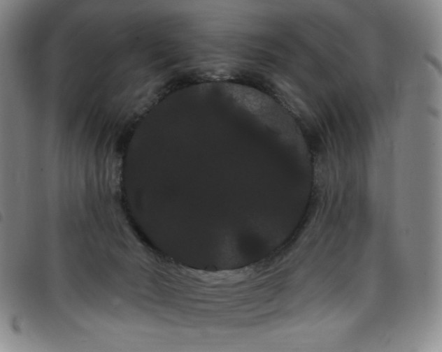 X0000098130030200804241701